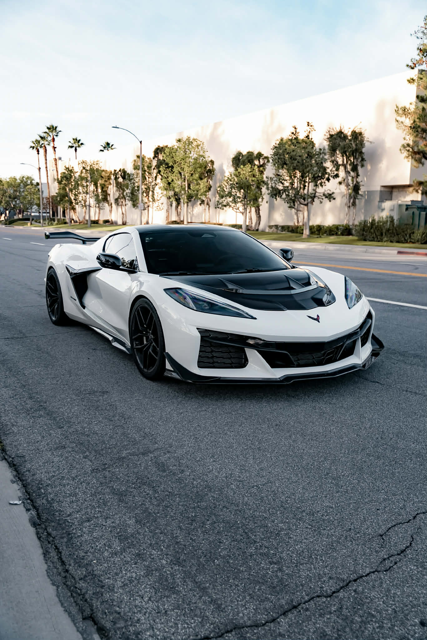 C8 Z06 Exhaust Guide: Stainless Steel vs Titanium F1 Exhaust